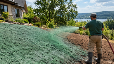 Hydromulch Seed