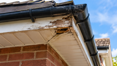 Soffit Repair