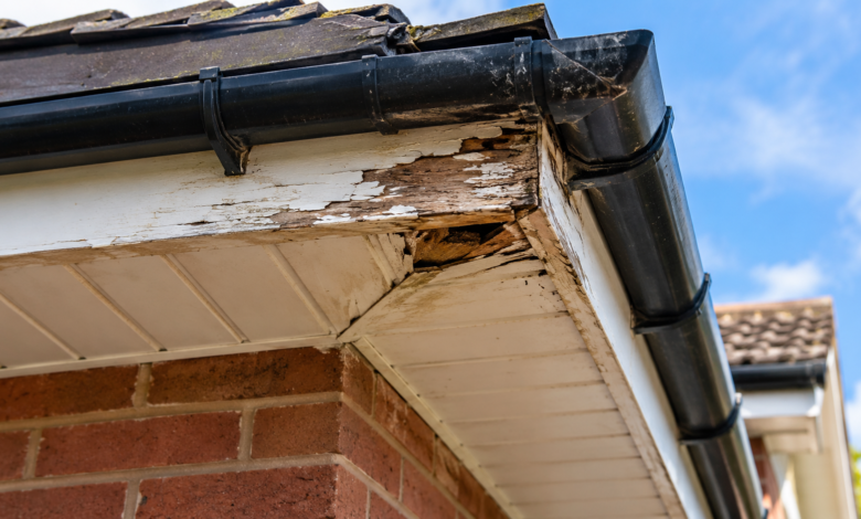 Soffit Repair