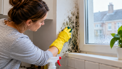 Mold Removal